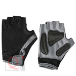 Boxing Gears